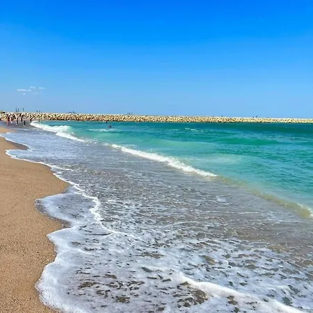 מלון Mav אפורי נורד