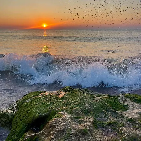 Mav Hotel Eforie Nord