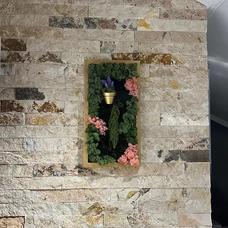 Hotel Mav