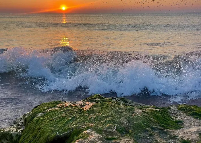 Mav Hotel Eforie Nord